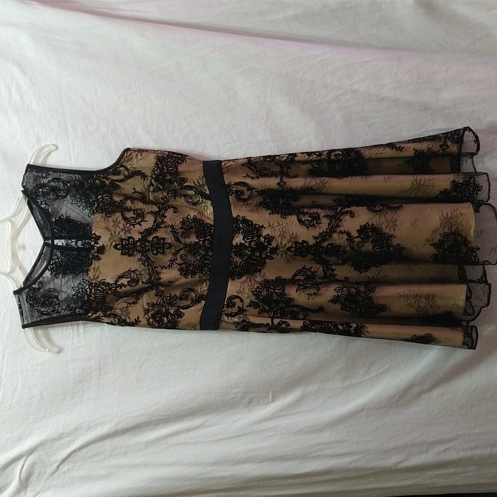 The Limited Black & Champagne Cocktail Dress